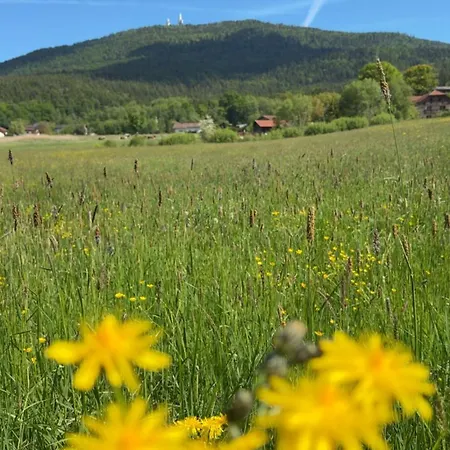 Auszeit Unterm Hohenbogen Daire